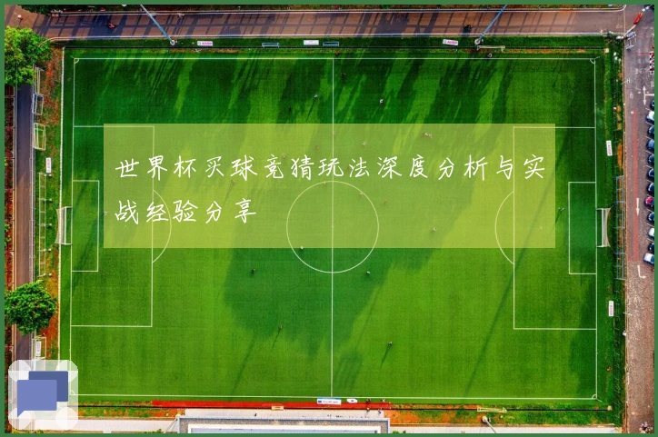 世界杯买球竞猜玩法深度分析与实战经验分享