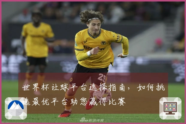 世界杯让球平台选择指南，如何挑选最优平台助您赢得比赛