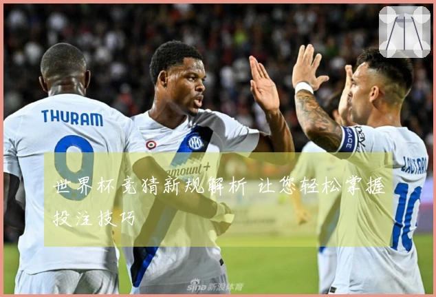 世界杯竞猜新规解析 让您轻松掌握投注技巧