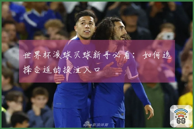 世界杯滚球买球新手必看：如何选择合适的投注入口