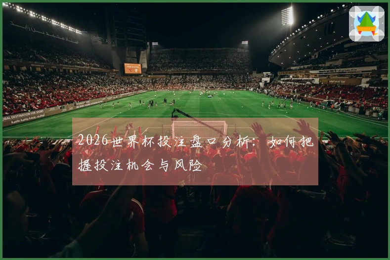 2026世界杯投注盘口分析：如何把握投注机会与风险